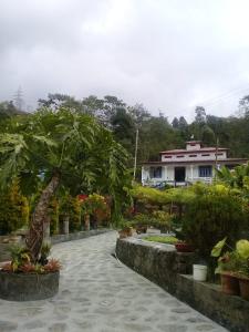 mirik