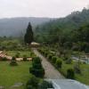 mirik