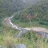 mirik