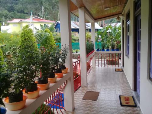 mirik