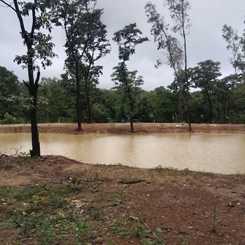 Nature Trinket,,0 star