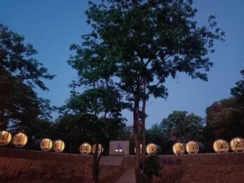 Nature Trinket,,0 star