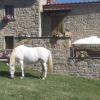 agriturismo la coccinella