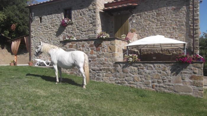 agriturismo la coccinella