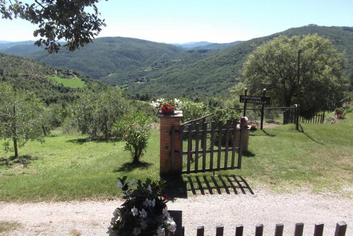 agriturismo la coccinella