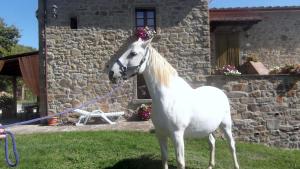 agriturismo la coccinella