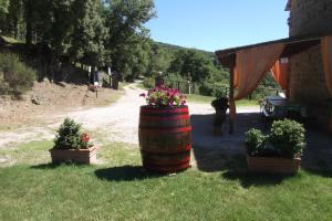 agriturismo la coccinella