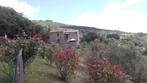 agriturismo la coccinella