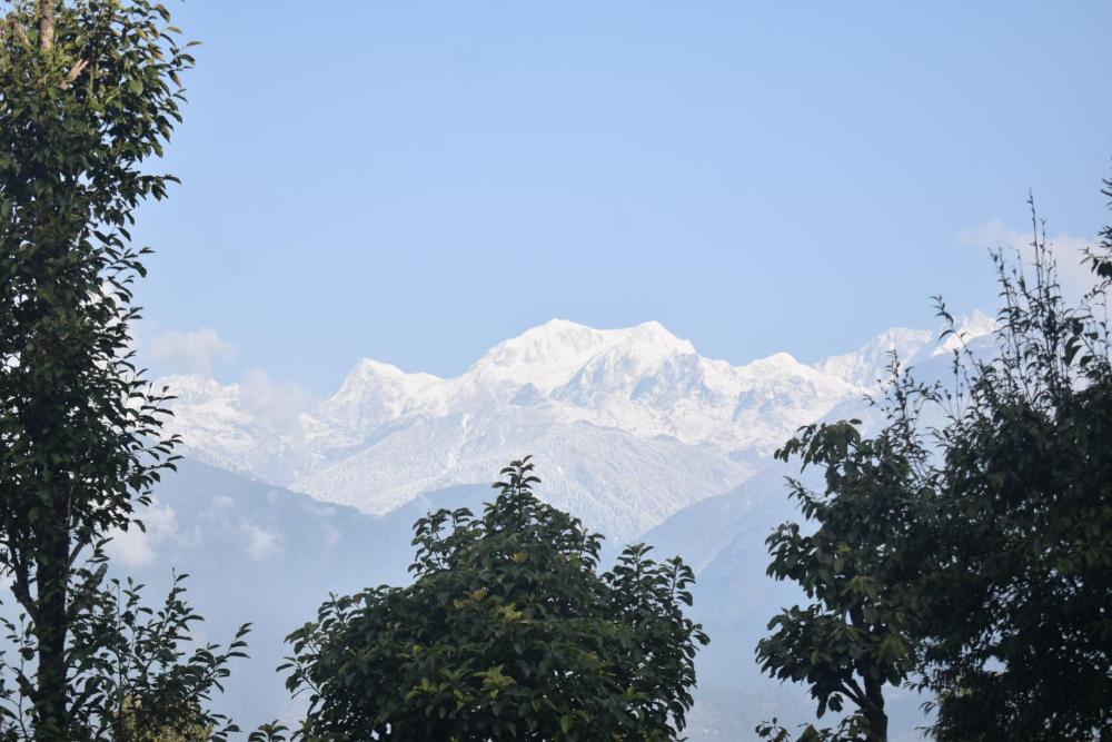 mandavya homestay pelling