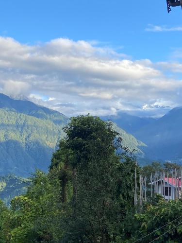 mandavya homestay pelling