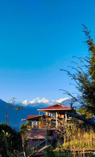 mandavya homestay pelling