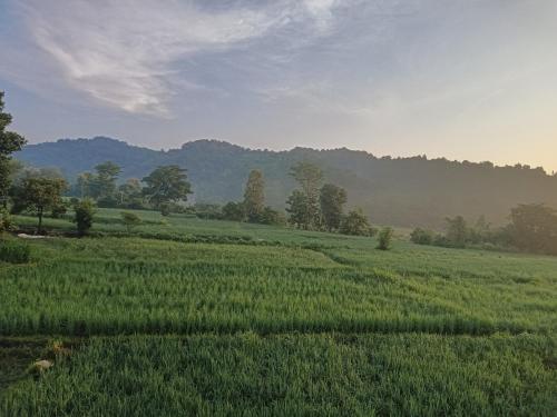 corbett rejoice home stay