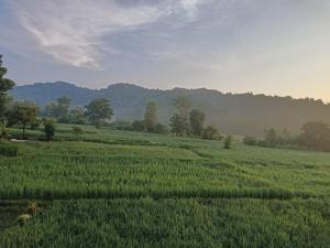 corbett rejoice home stay