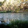 mt cotton retreat