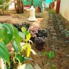 the ixora a boutique homestay