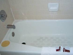 torch lite lodge