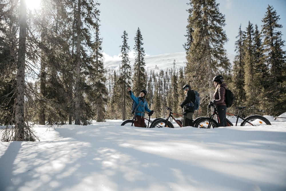 lapland hotels yllaskaltio