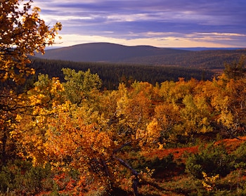 Lapland Hotels Yllaskaltio,Kittila>>Akaslompolo,3 star
