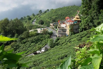 traditional homestay