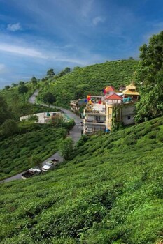 traditional homestay