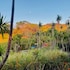 el sol monteverde