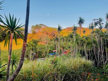 el sol monteverde