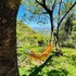 el sol monteverde