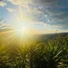 el sol monteverde