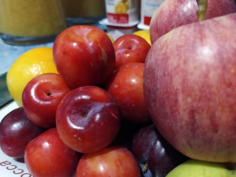 hotel vida ostra marina