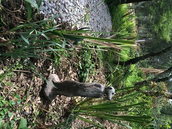 A Stone's Throw Accommodation,Grahamstown>>Cacadu,3 star