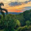 daintree manor bed and breakfast