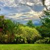 daintree manor bed and breakfast