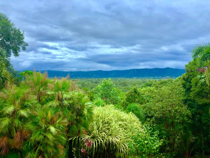 daintree manor bed and breakfast