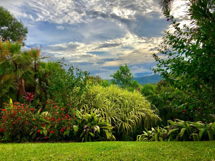 daintree manor bed and breakfast