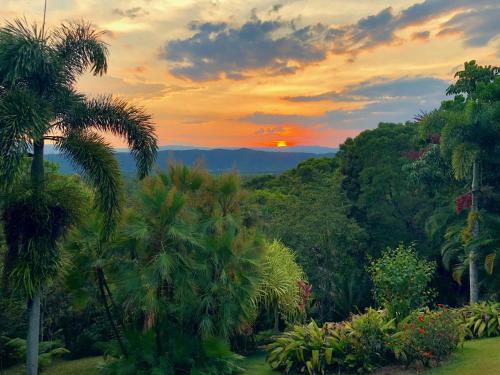 daintree manor bed and breakfast