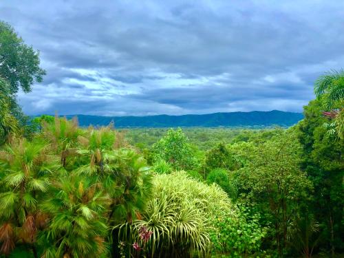 daintree manor bed and breakfast