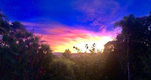 daintree manor bed and breakfast