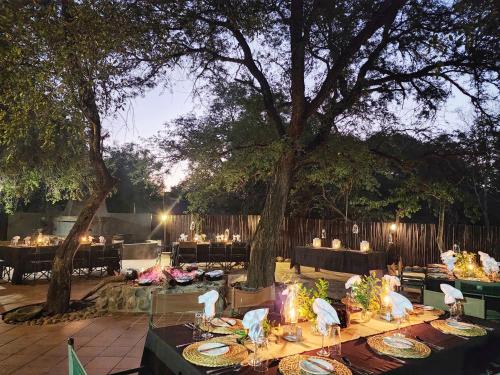 karongwe portfolio shiduli private game lodge