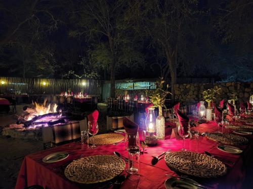 karongwe portfolio shiduli private game lodge