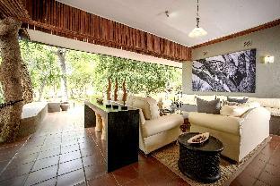 karongwe portfolio shiduli private game lodge