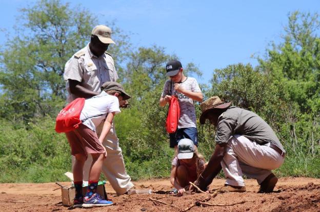 karongwe portfolio shiduli private game lodge