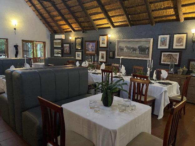 karongwe portfolio shiduli private game lodge