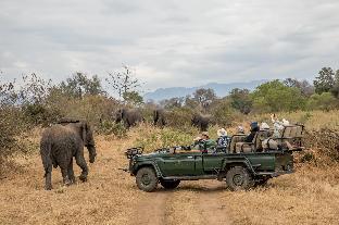 Karongwe Portfolio - Shiduli Private Game Lodge,Gravelotte>>Balule Game Reserve,4 star
