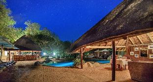 karongwe portfolio shiduli private game lodge