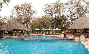 karongwe portfolio shiduli private game lodge