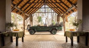 karongwe portfolio shiduli private game lodge