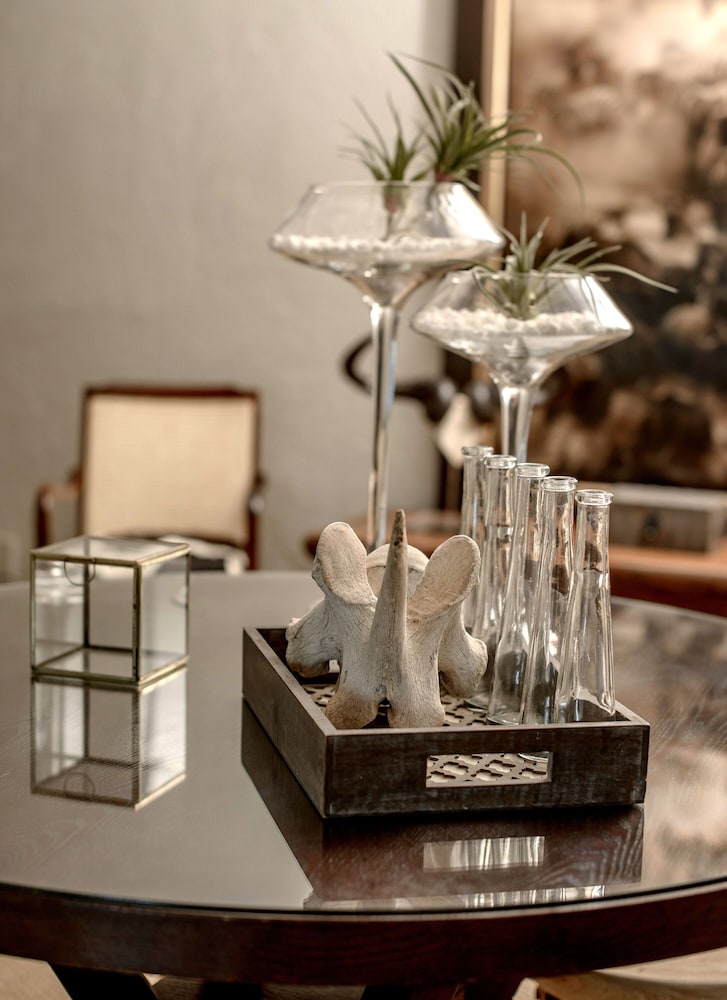 karongwe portfolio shiduli private game lodge