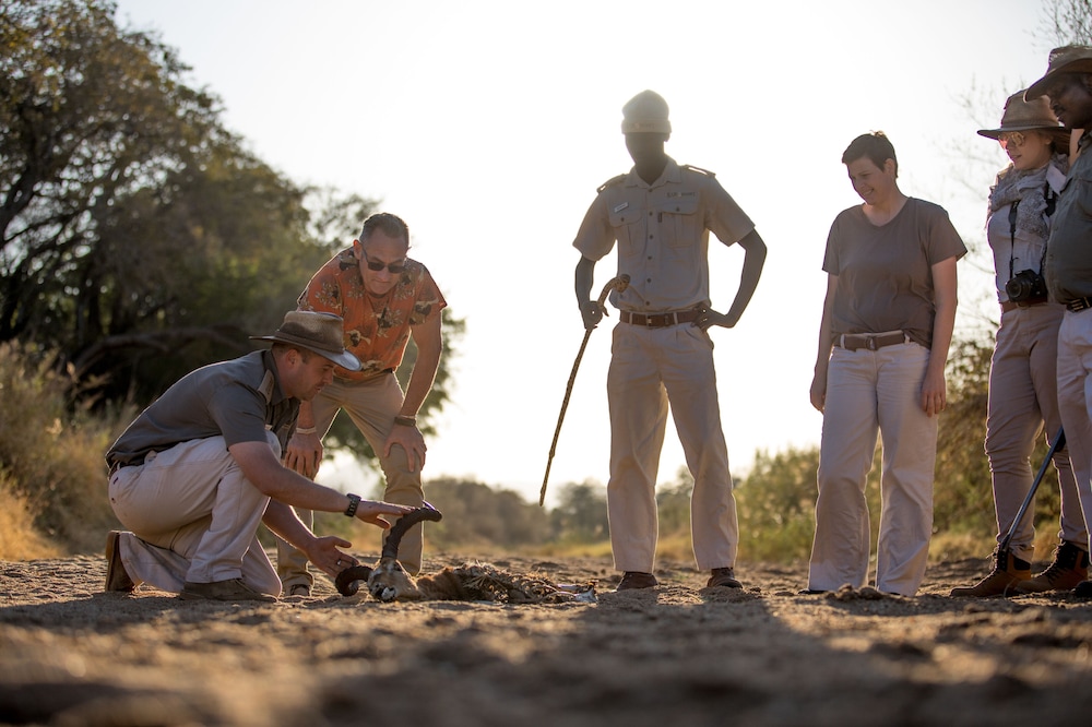 karongwe portfolio shiduli private game lodge