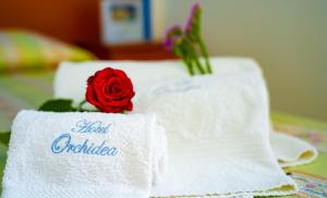 hotel orchidea
