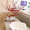 hotel bagni lido